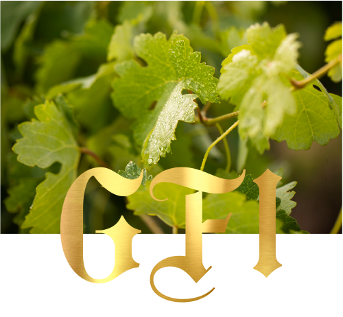 Viñedo de Laguardia